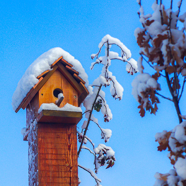 La nieve en una casita de pájaros del Jardín de los 7 Chakras