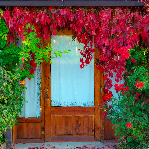 Los colores de otoño en la puerta de la Cabaña de Madera